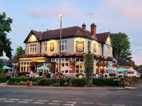 Отель The Swan Inn  Эшер